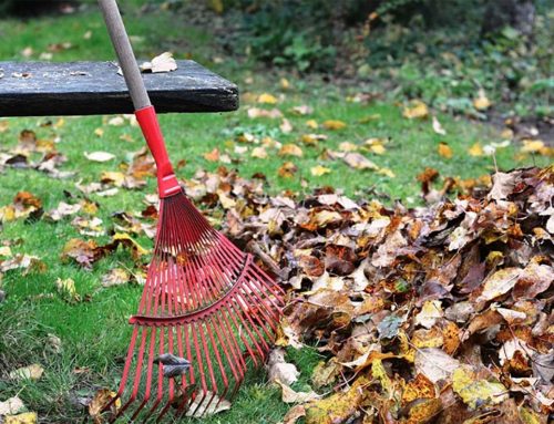 Maximizing your Mobility: Spring Cleaning and Elbow Pain